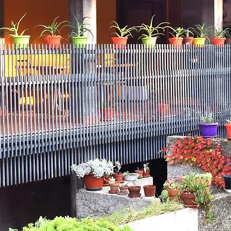 Bed & Breakfast Tarcisio Tavullia