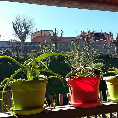 Tarcisio Panzió Tavullia